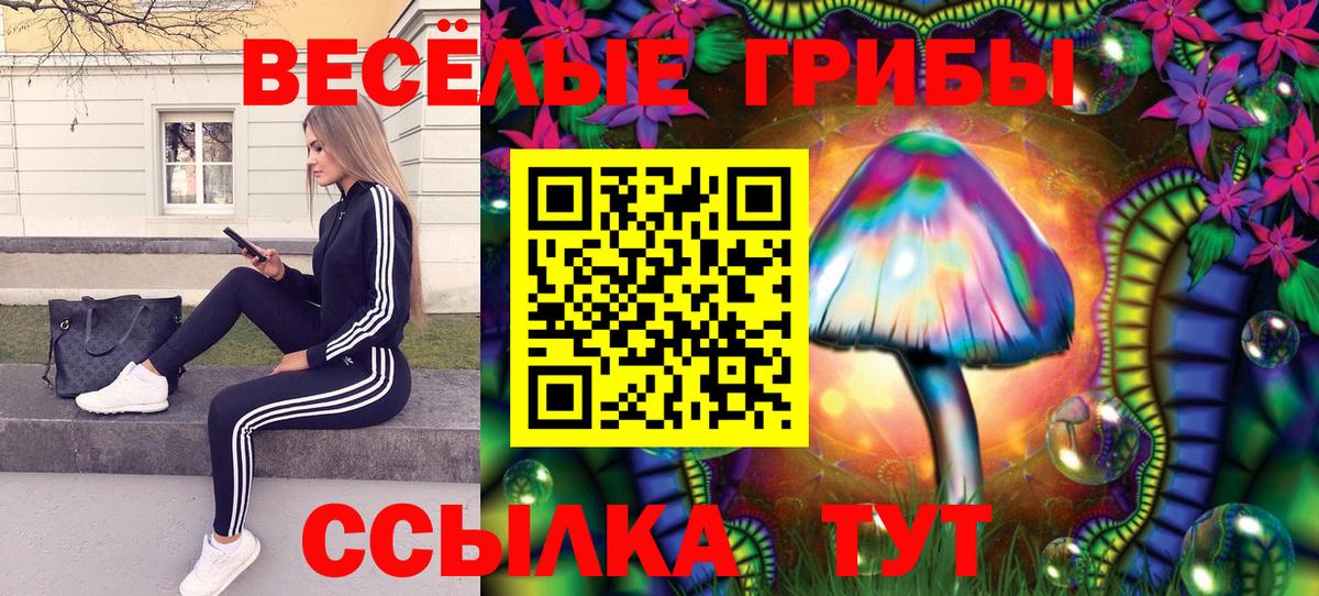 Сарапул  Псилоцибиновые грибы ЛСД  Вход с VPN 