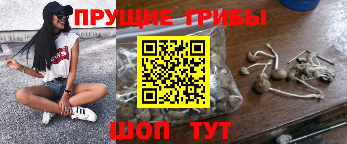 Псилоцибиновые грибы мухоморы Сарапул